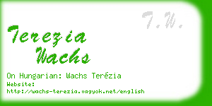 terezia wachs business card